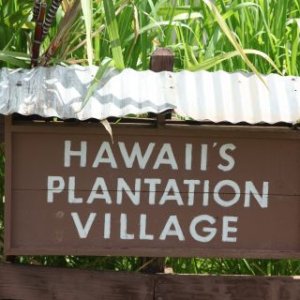 Hawaii's Plantation Village