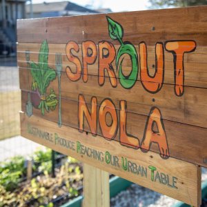 Sprout Nola truck farm table