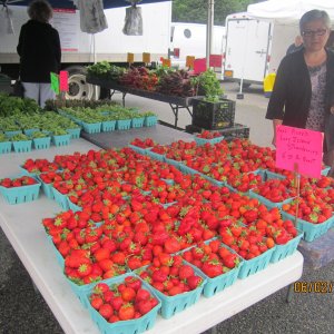 Long Island Growers Market LLC